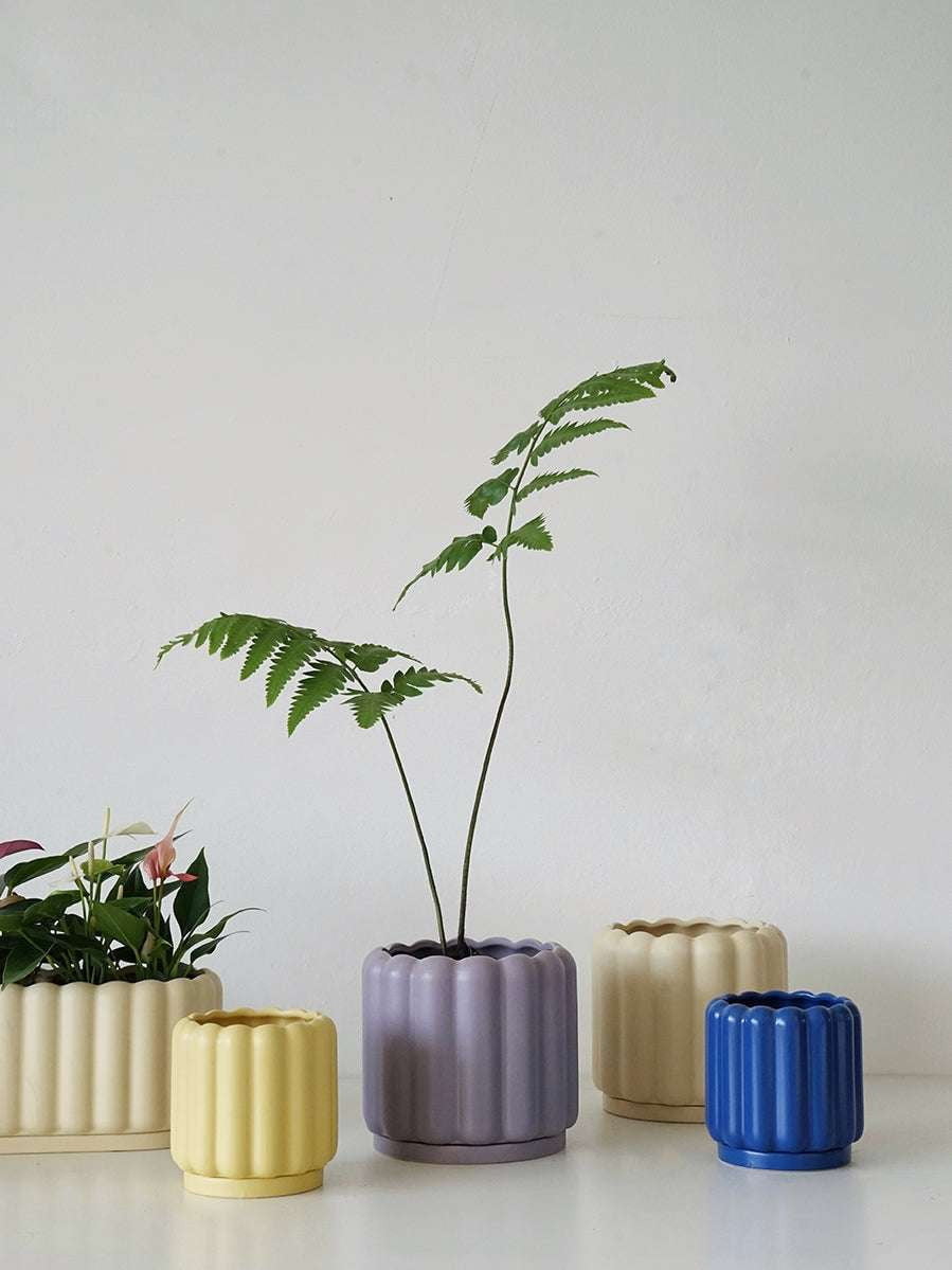 Ceramic Planter Tray, Colorful Round Planters, Fence Style Planter - available at Sparq Mart