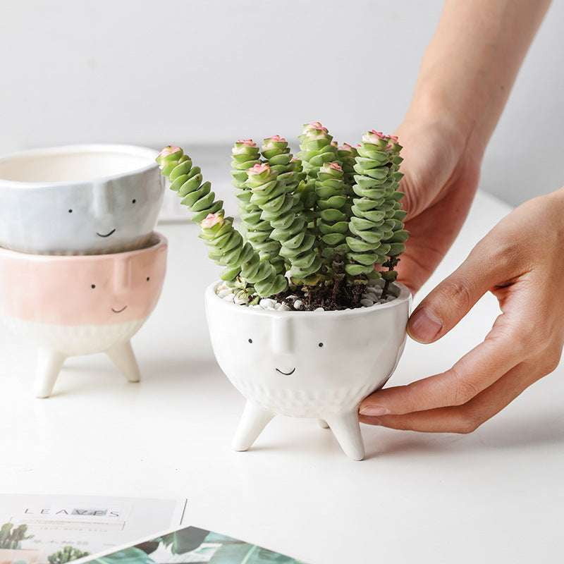 Cartoon Flowerpots, Cute Succulent Pots, Hand Drawn Planters - available at Sparq Mart