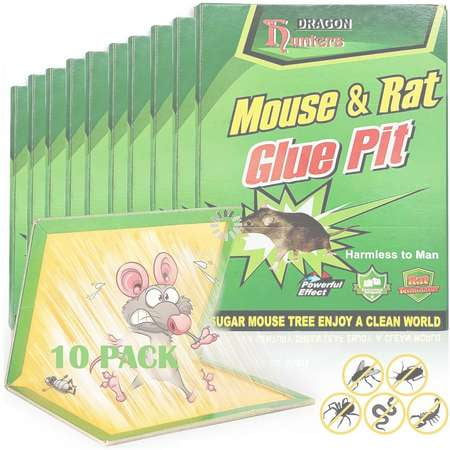 Mouse Sticky Trap, Pest Control Tool, Rodent Control Paste - available at Sparq Mart