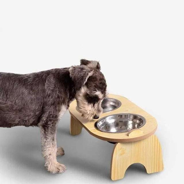 Comfort Pet Dish, Elevated Pet Bowls, Ergonomic Feeding Station - available at Sparq Mart