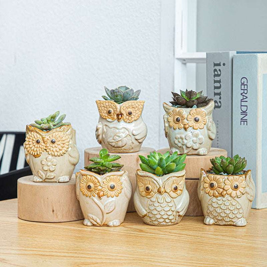 Kiln-Changed Pottery, Owl Planter Set, Succulent Basin Decor - available at Sparq Mart