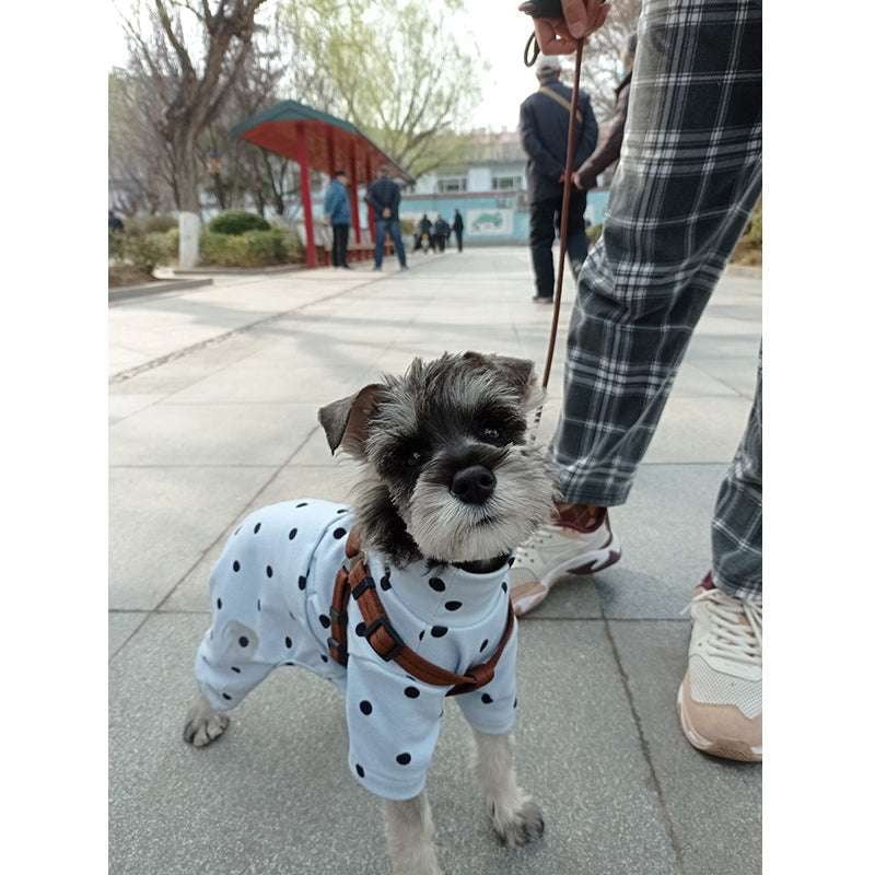 Four Foot Petwear, Pet Apparel Online, Stylish Pet Outfits - available at Sparq Mart