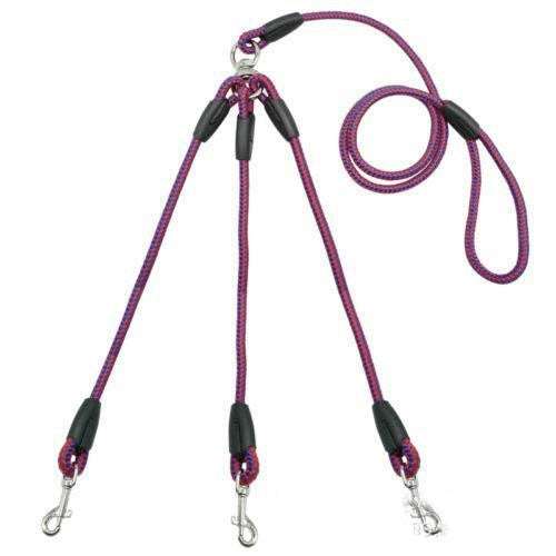 Colorful pet leash, Premium pet leash, Triple pet leash - available at Sparq Mart