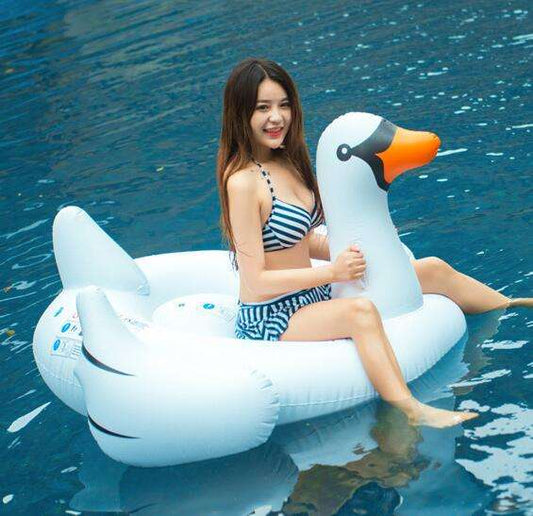 Flamingo inflatable, Floating row seat, Swan inflatable - available at Sparq Mart