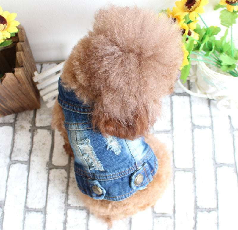 Canine Fashion Vest, Pet Denim Vest, Summer Dog Apparel - available at Sparq Mart