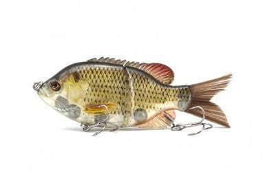 Realistic Fishing Bait, Sunfish Simulation Bait, Transparent Fishing Lure - available at Sparq Mart